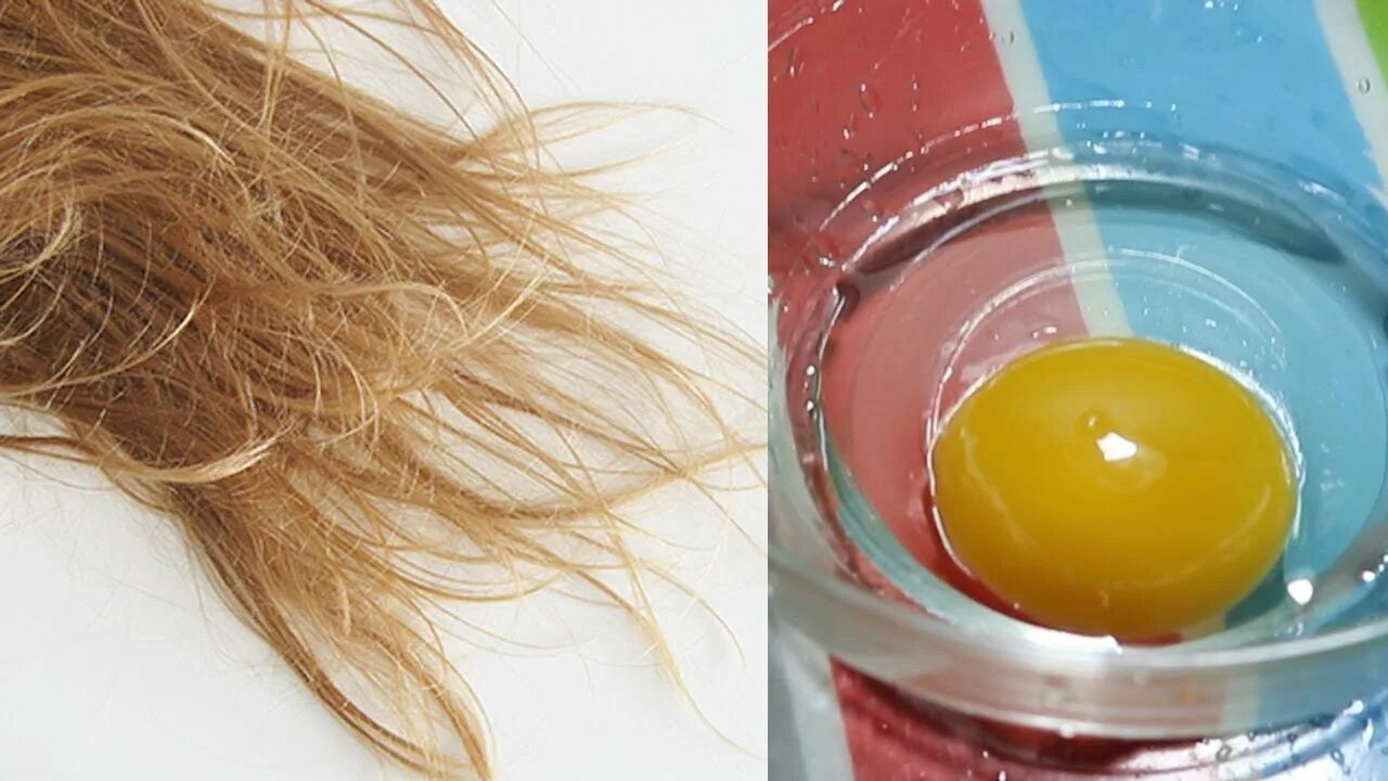 Маска для волос из желтка. Яичный желток для волос. Маска для волос с яичным желтком. Маска для волос из яичного желтка.