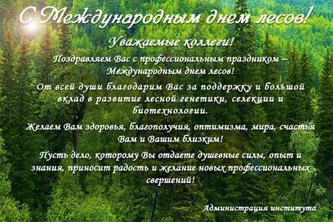 Лес сценарий