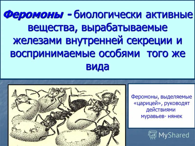 железы внутренней секреции презентация. эндокринная система железы внутренней секреции схема. вещества продуцируемые железами внутренней секреции. вещества вырабатываемые железами внутренней. железы внутренней секреции возрастные особенности.