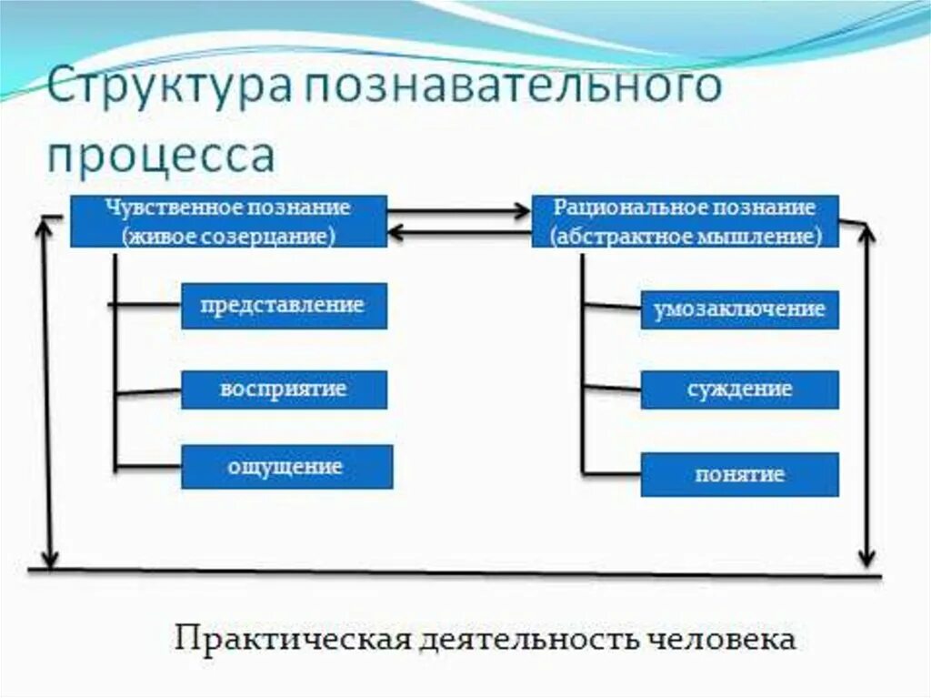 Высший процесс познавательной деятельности человека