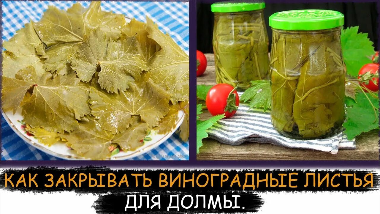 Долма в виноградных листьях. Долма в виноградных листьях. Маринованные виноградные листья для долмы. Долма виноградный залентой. Долма в виноградных листьях.