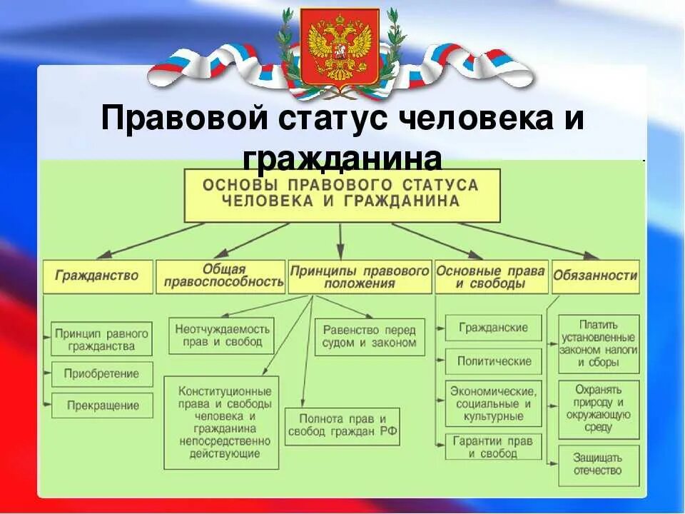 Россия основа 9 класс. Основы правового статуса человека и гражданина в РФ. Политико правовой статус гражданина РФ. Элементы правового положения человека и гражданина.