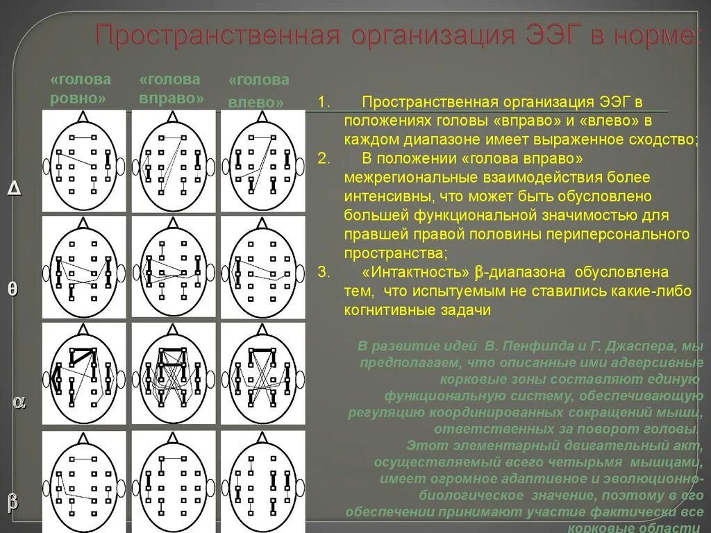 Голов показывать ээг. Ээг интерпретация результатов. ээг головного мозга нормы показателей. ээг нормальные показатели у ребенка. ээг нормальный тип.