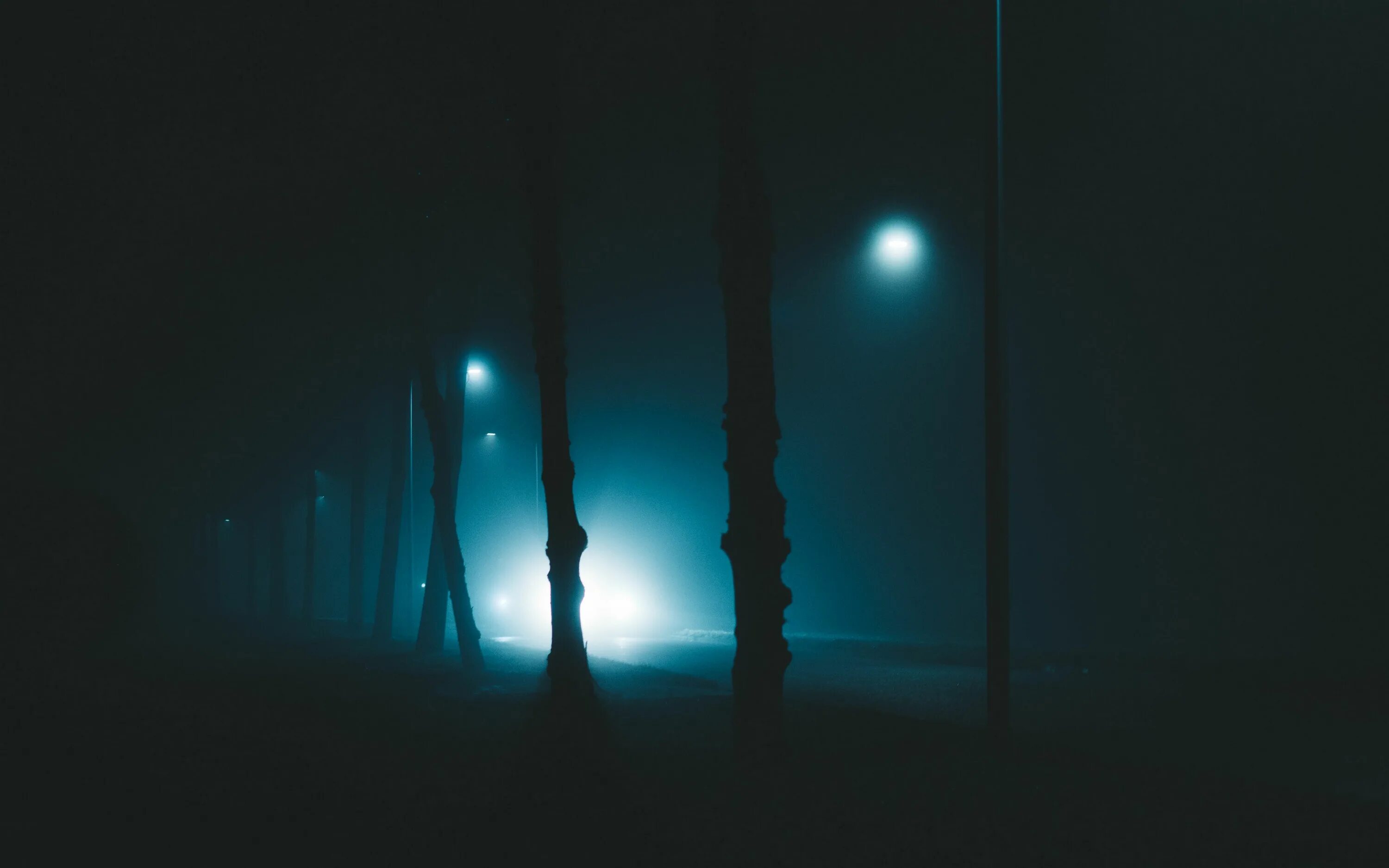 Light in august