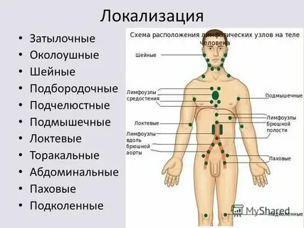 Паховые лимфоузлы причины увеличения
