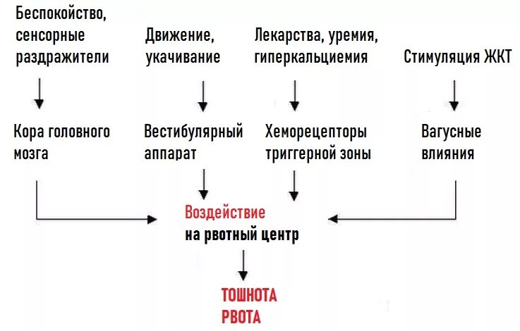 Механизм развития рвоты. Схема возникновения рвоты. Рефлекторная рвота патогенез. Патогенез рвоты.