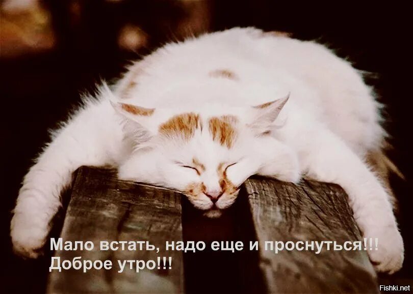 Терпи вставай