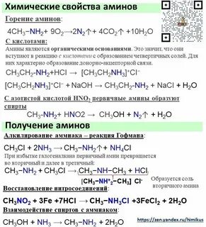 Свойства аминов кратко