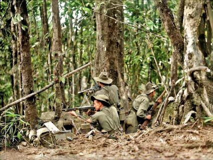 50 yards from the Japanese lines, near Mount Tambu, Salamaua, New Guinea. 