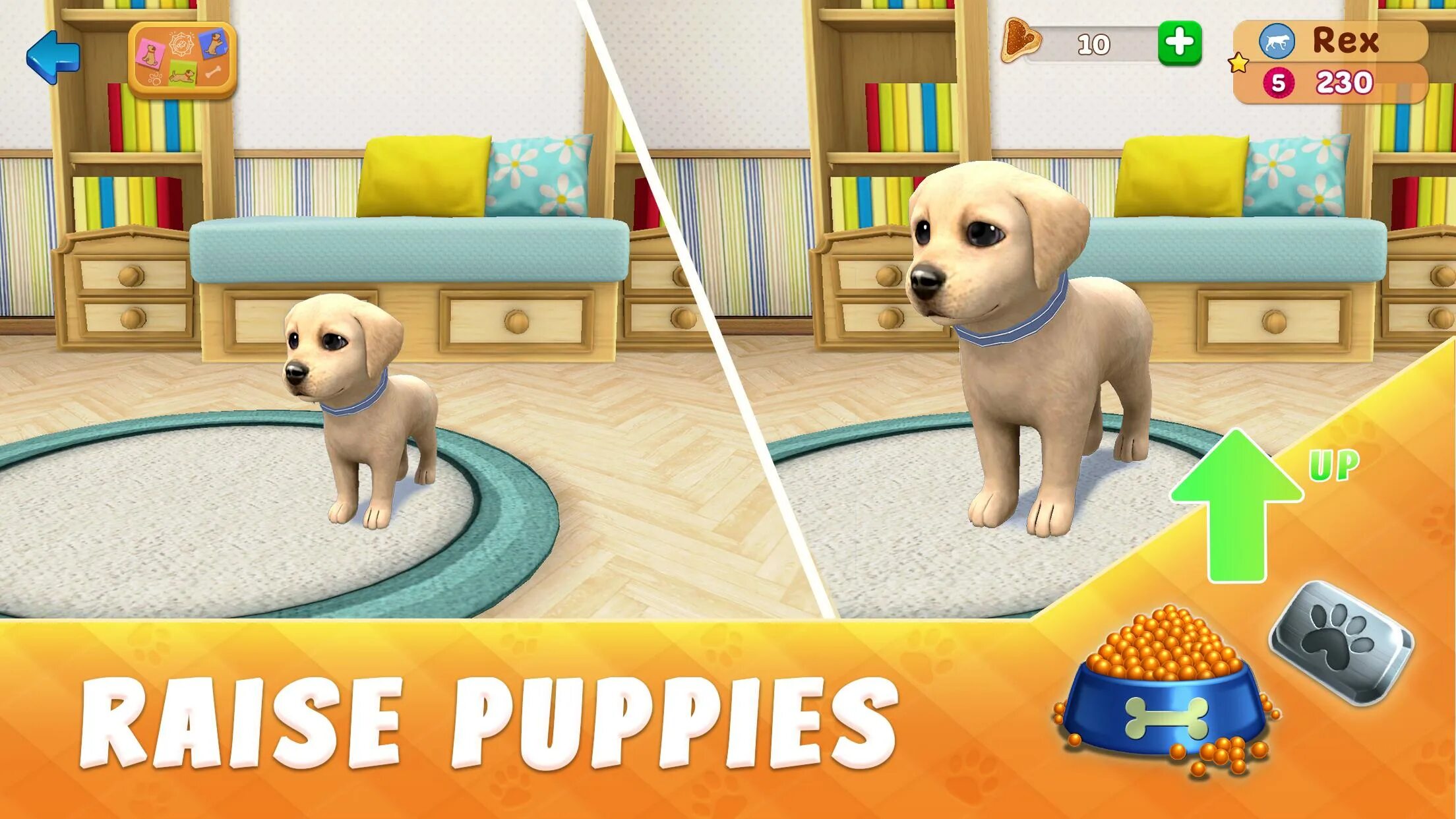 Pets town. Петс догс игра. Cute Cat and Puppy World мод на деньги. My Dog:Pet game Simulator. Дизайн в игре Dog Town.