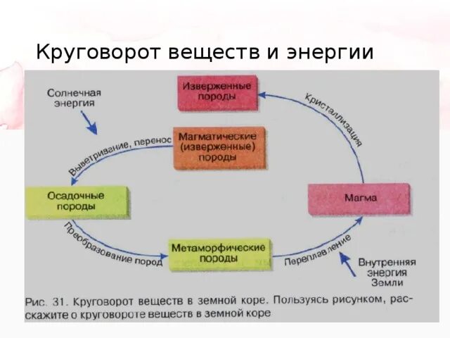 Фф круговорот. Схема биологического круговорота веществ и превращения энергии. Схема круговорота веществ в природе 6 класс география. Круговорот веществ в природе. Биологический круговорот.. Схема биологического круговорота веществ и потока энергии.