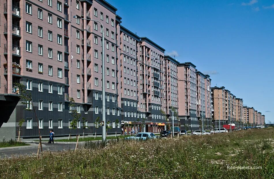 Славянка, колпинское шоссе 34, к. Колпинское шоссе пушкин. Колпинское шоссе 34 корпус 1 славянка спб. Шушары славянка. П шушары санкт-петербург.