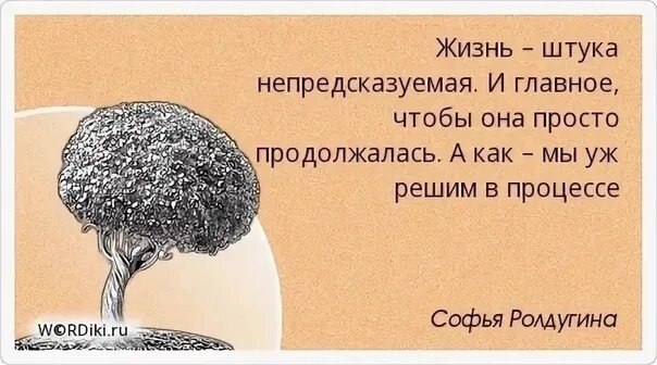 Одним словом жизнь расцветает. Юмор продлевает жизнь. юмор продлевает жизнь афоризм. цитаты про сирот. цитаты про больницу.