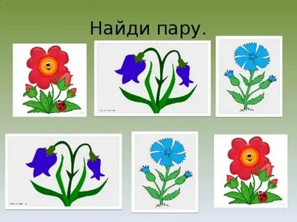 Игра найди цветок