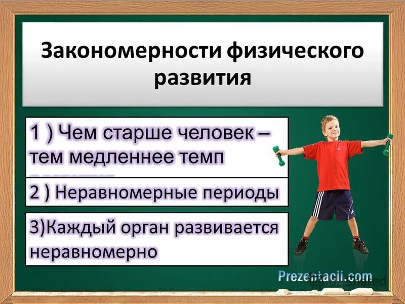 Основные закономерности физического развития. Закономерности физического развития. Характеристика физического развития человека. Основные параметры физического развития.