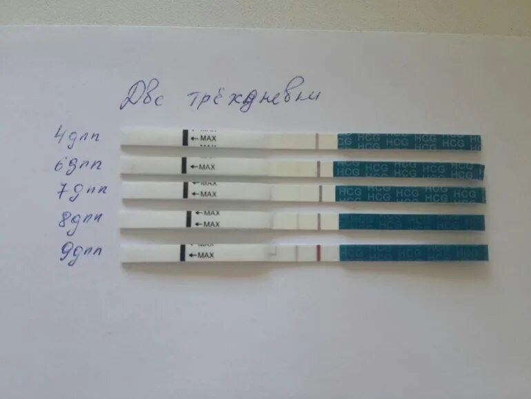 После криопереноса тянет низ. 3дпп трехдневок тест на беременность. 6 ДПП трехдневок тест. Эко 9 ДПП. Тест на беременность после эко трехдневки.