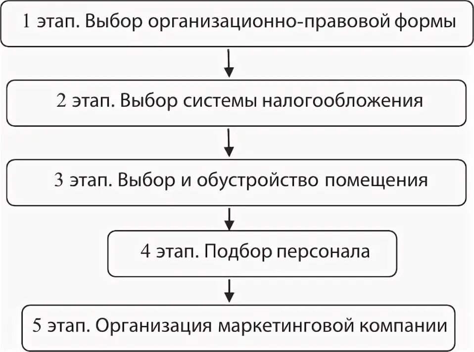 Организационный этап выборов