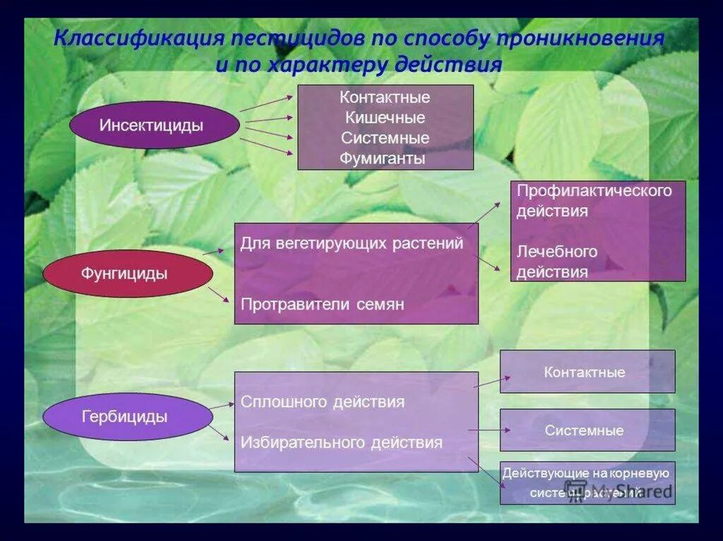 Какие методы используются в природе. Классификация инсектицидов. Классификация инсектицидовдов. Инсекцидыклассификация. Классификация химических средств защиты растений.