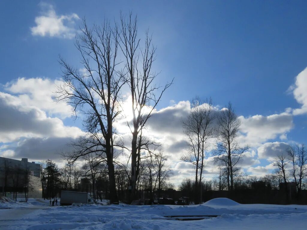 Погода 1 19. Кучевые облака зимой. Кучевые облака над Петербургом. Конец зимы Кучевые облака. Кучевые облака Адмиралтейство.