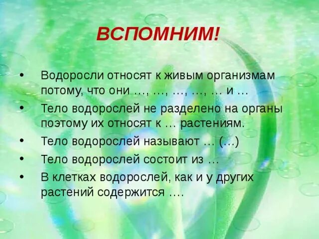 Вывод водорослей