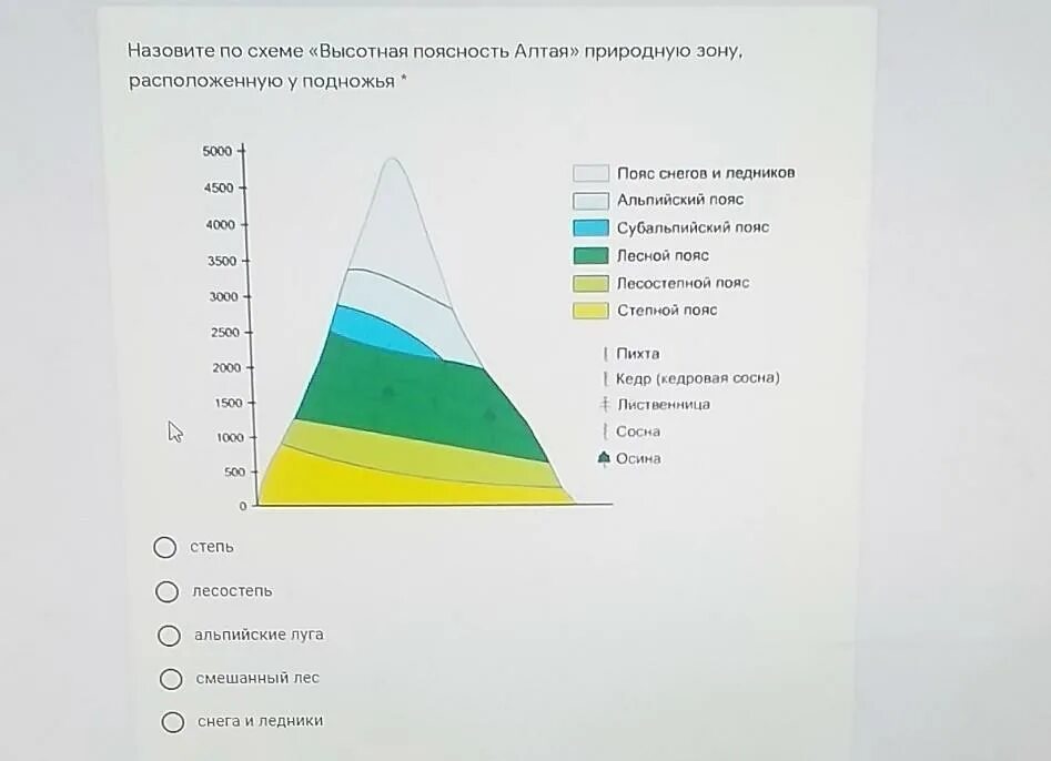 Схема ВЫСОТНОЙ поясности в горах Алтая. Высотная поясность Северо Западного Алтая. Высотная поясность зоны Алтай. Природные зоны ВЫСОТНОЙ поясности Алтая. Природные зоны гор алтая таблица