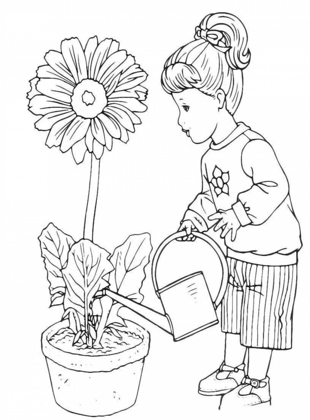 Раскраска комнатные растения для детей. Комнатный цветок раскраска для детей. Раскраски на тему комнатные растения. Цветок в горшке раскраска. Мама цветы в горшке