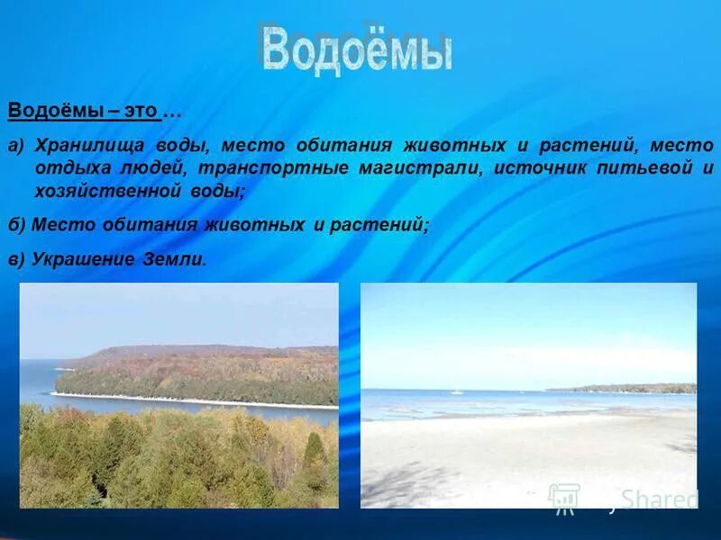 Водоёмы кубанского кпая. Мой край краснодарский край. Рыбы реки кубань 3 класс кубановедение. Сообщение по кубановедению 4 класс. Рассказ о кубани.