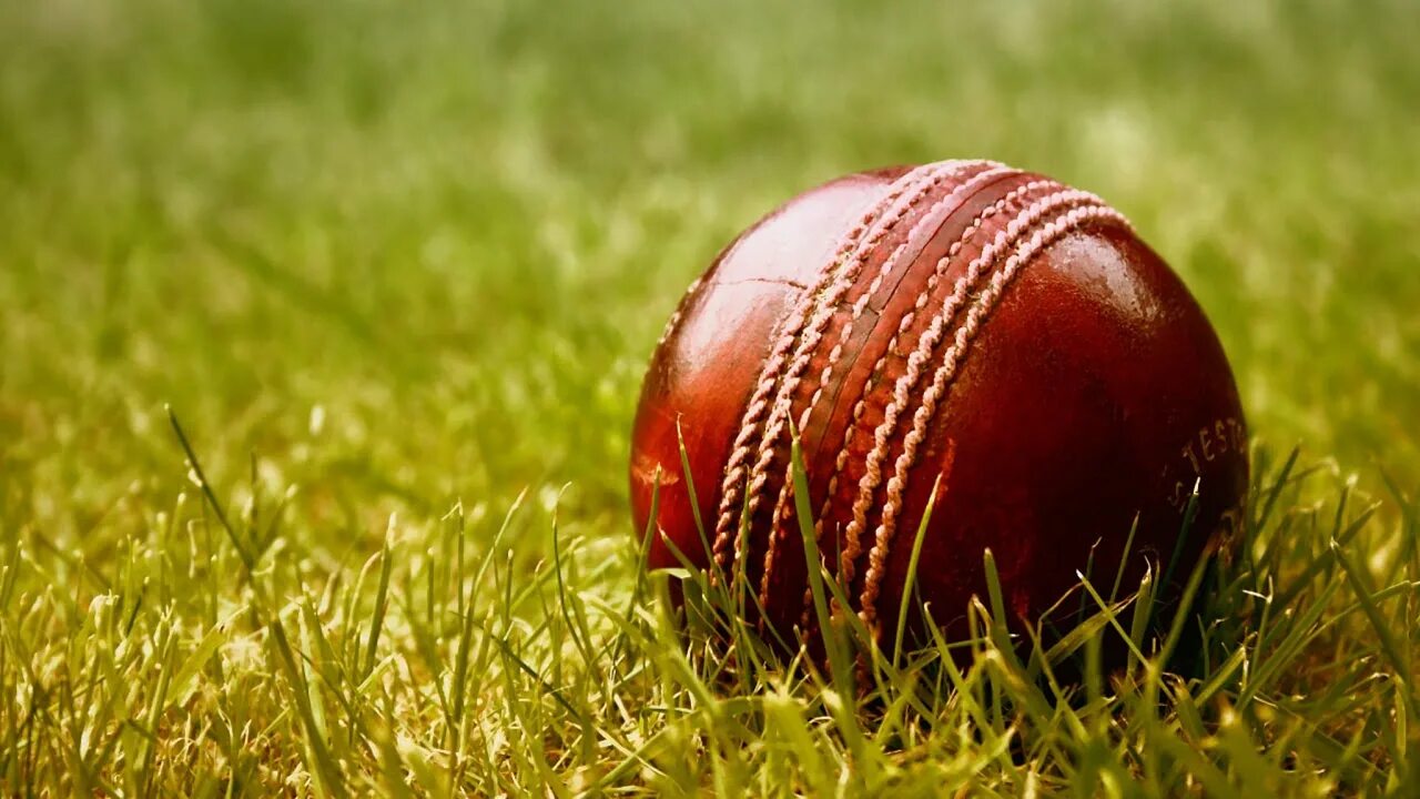 Крикет. Крикет картинки. Cricket Ball. Cricket ground. Match quality