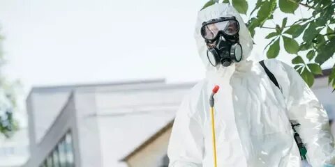 Эко сэс
