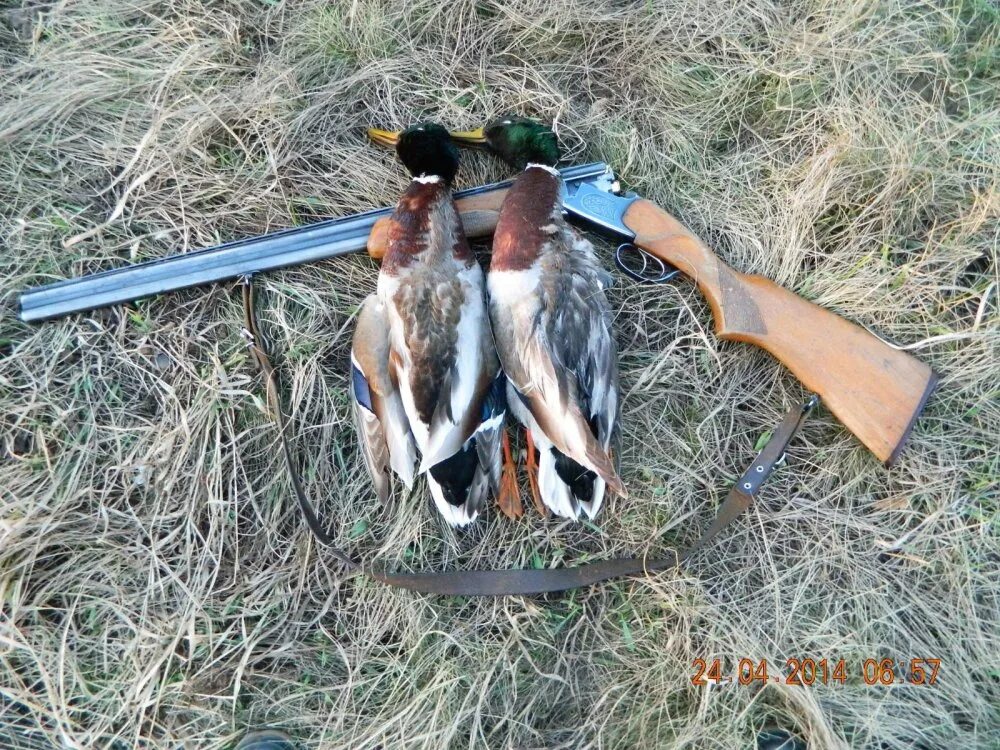 Охотники за привидениями 2016 крис хемсворт. Охотники запри. Охотники за привидениями фильм 2016. Форма охотник кургане. Охота на утку закрытье охоты.