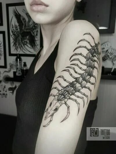 Сколопендра пиро. Что означает сороконожка. Тату сороконожка на руке. Татуировка токийский гуль сколопендра. Скелет сколопендры тату.