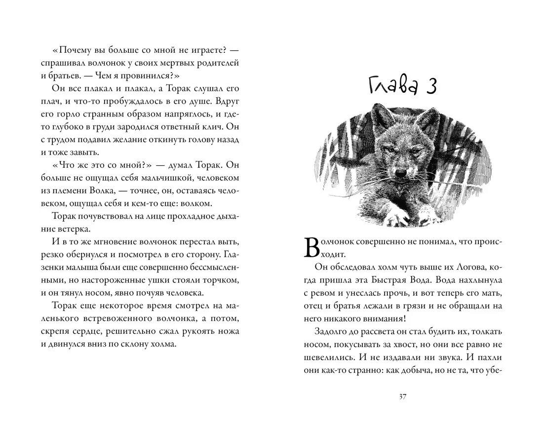 Читать книгу брат волк. Брат волк книга. Брат мой волк. Кн. Брат волк книга.
