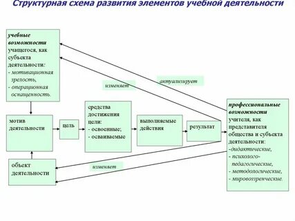 Основные компоненты учебно познавательной деятельности