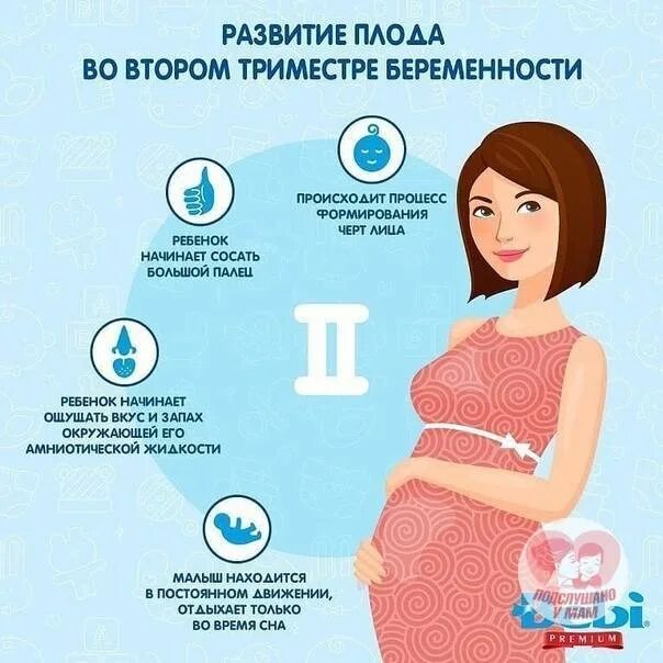 Что делать если при беременности сильно. Советы по беременности. Полезное для беременных. Советы беременной. Рекомендации для беременной в 1 триместре.