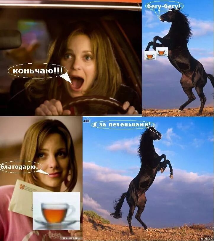 Конь неси чаю. Конь чаю мем. Конь чаю бегу. Конь несет чай. Конь чаю мем.