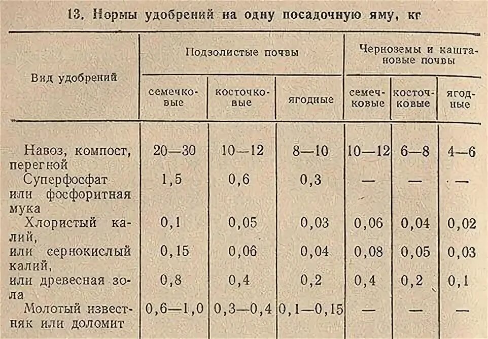 Какое удобрение вносить при посадке яблони