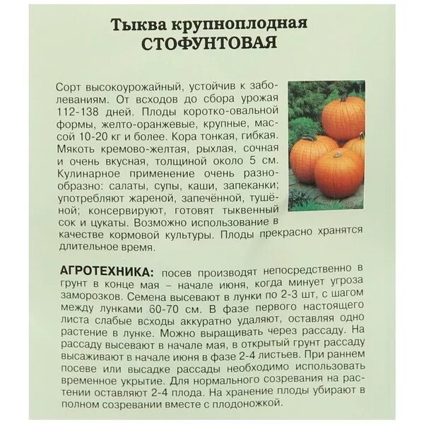Тыква вид плода