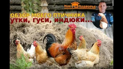 Мое подворье