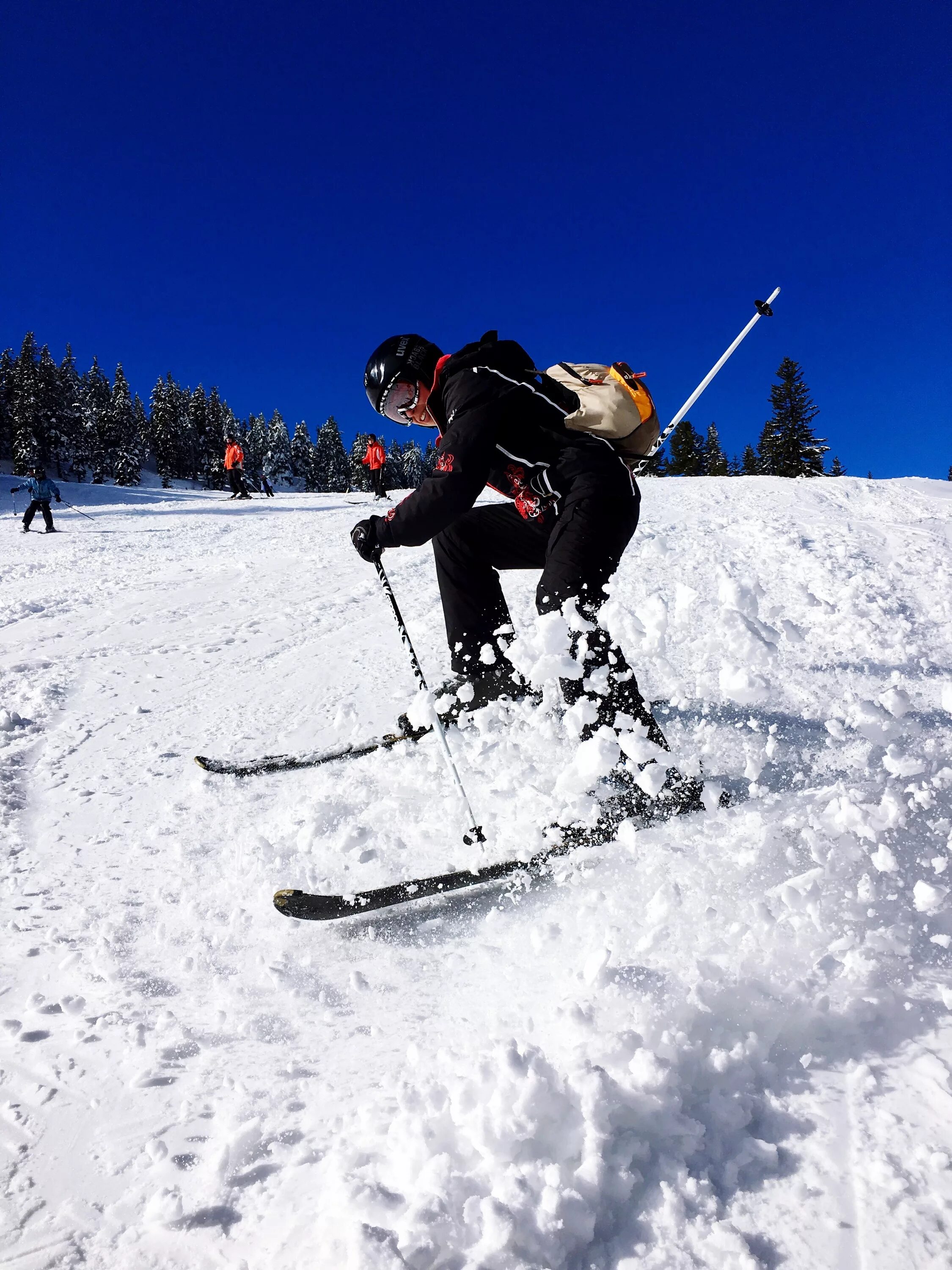 Горнолыжный спорт. Зимний спорт. Лыжи. Горнолыжный туризм. Фото skiing