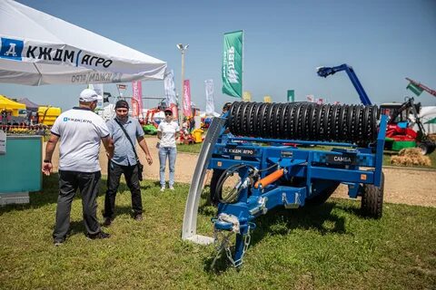Золотая нива
