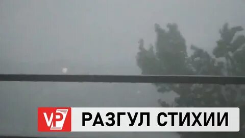 Осадки камышин