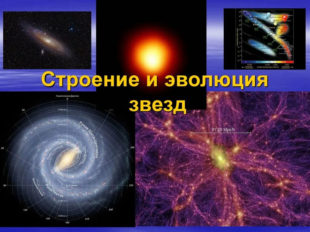 Солнце и звезды астрономия 11 класс. Строение и Эволюция звезд. Эволюция солнца и звезд. Строение звезды астрономия. Строение и Эволюция солнца и звезд.