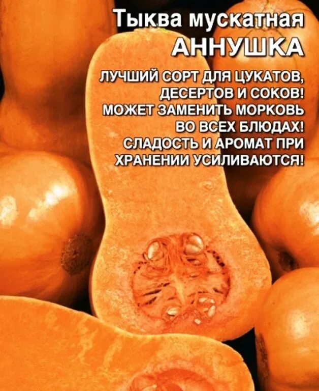 Тыква мускатная описание сорта