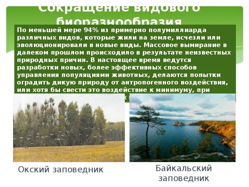 Причиной сокращения видового разнообразия. Сокращение видового биоразнообразия. глобальные экологические проблемы биоразнообразия. сокращение биоразнообразия как глобальная экологическая проблема. сокращение видового разнообразия фото.