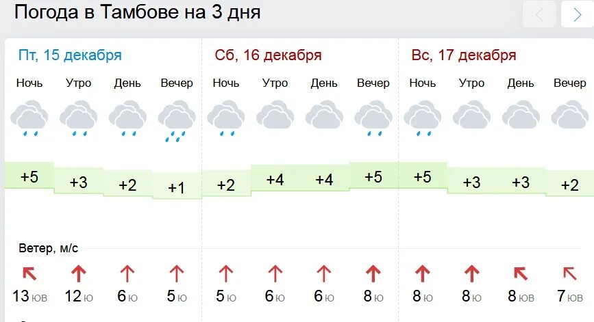 Тамбов погода на завтра по часам