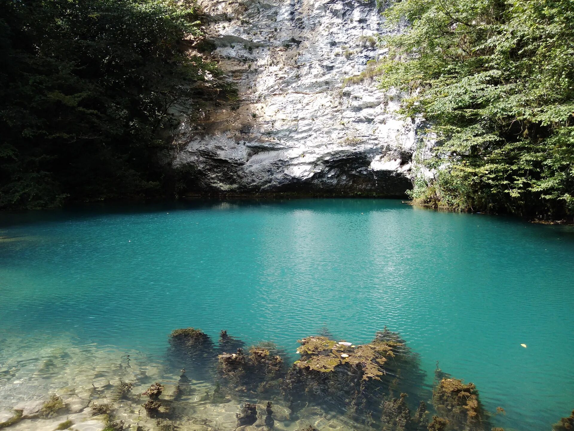 Река на голубом озере. Голубое озеро Рица Абхазия. Абхазия Пицунда голубое озеро. Абхазия голубое озеро Рицца. Гагры Абхазия голубое озеро.