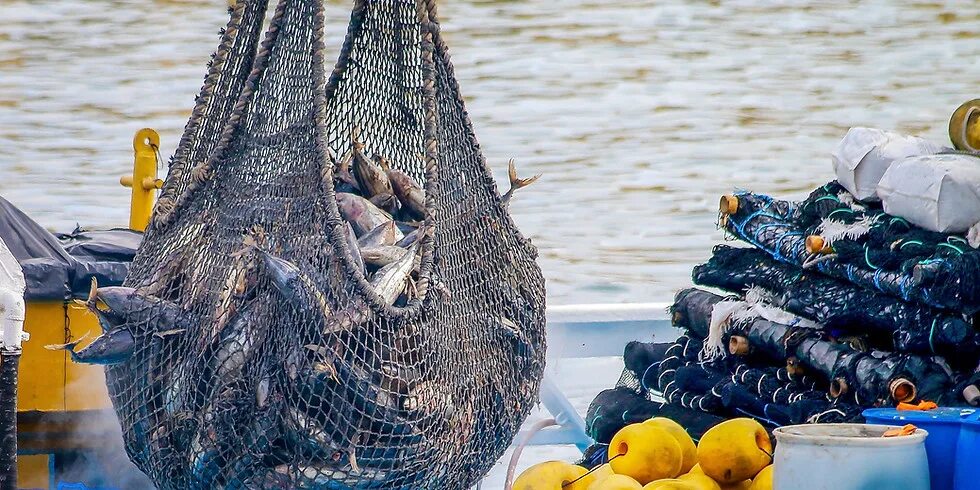 Fishing products