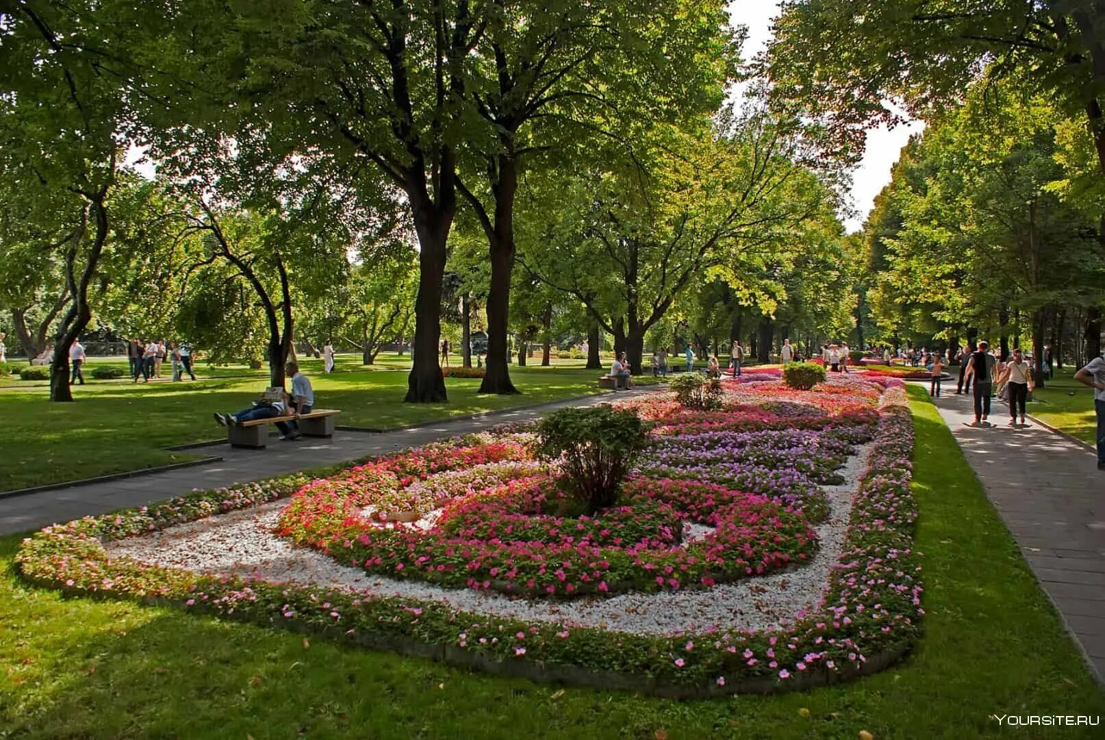 Теме сквере