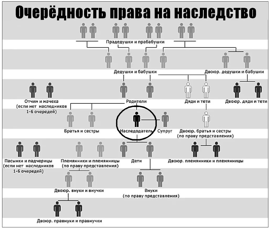 Схема очереди наследников порядок наследования. Наследники очередность наследования по праву представления. Наследники очередность наследования по закону схема. Наследование по закону первой очереди доли наследования. Делится ли наследство между супругами при разводе