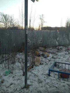 Дети сырского